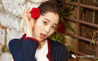 娱乐圈吃瓜资深少女文