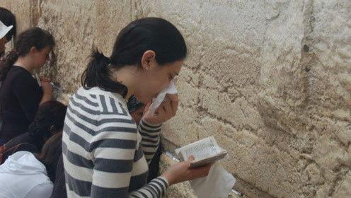 娱乐吃瓜君张翰,娱乐吃瓜界的风云人物